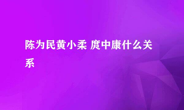 陈为民黄小柔 庹中康什么关系