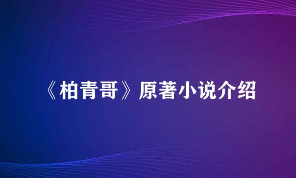 《柏青哥》原著小说介绍