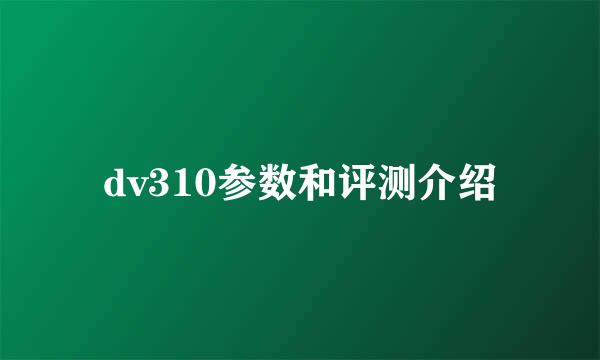 dv310参数和评测介绍