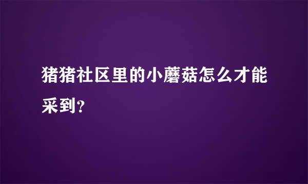 猪猪社区里的小蘑菇怎么才能采到？