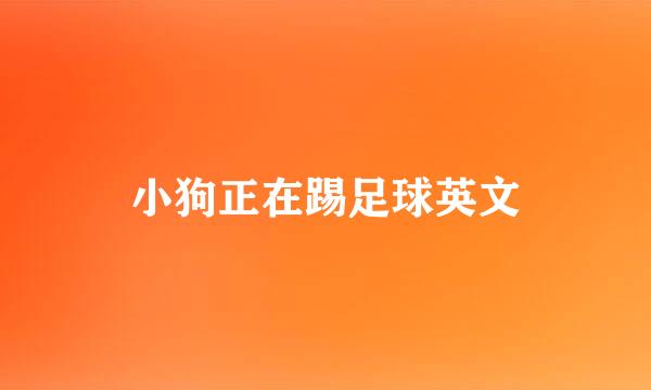 小狗正在踢足球英文