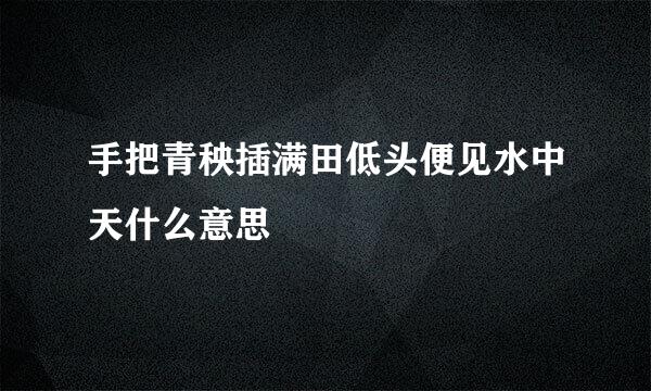 手把青秧插满田低头便见水中天什么意思