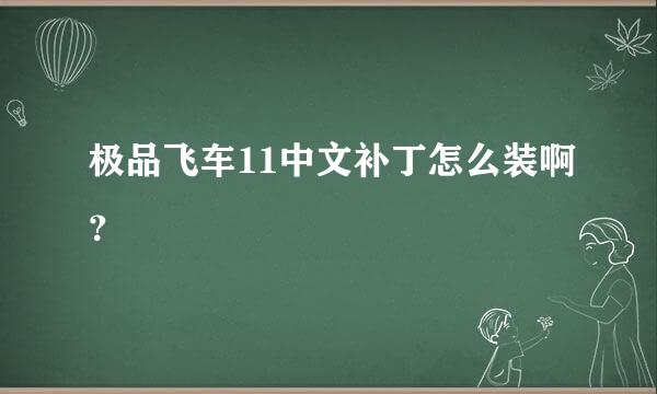 极品飞车11中文补丁怎么装啊？