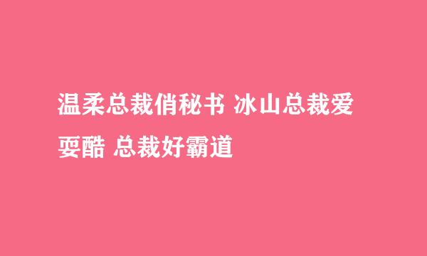 温柔总裁俏秘书 冰山总裁爱耍酷 总裁好霸道