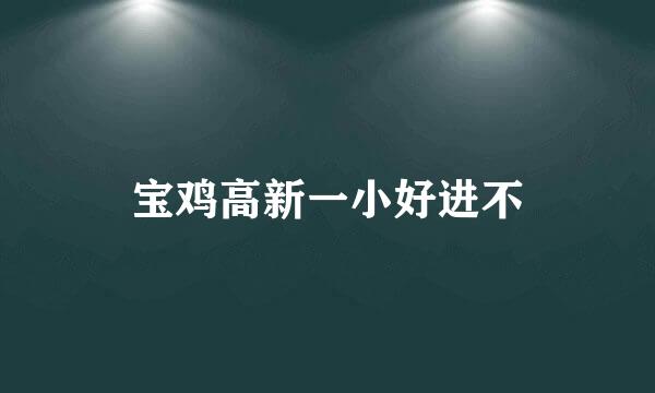 宝鸡高新一小好进不