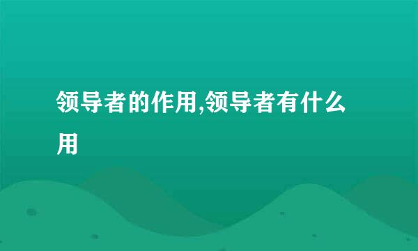 领导者的作用,领导者有什么用