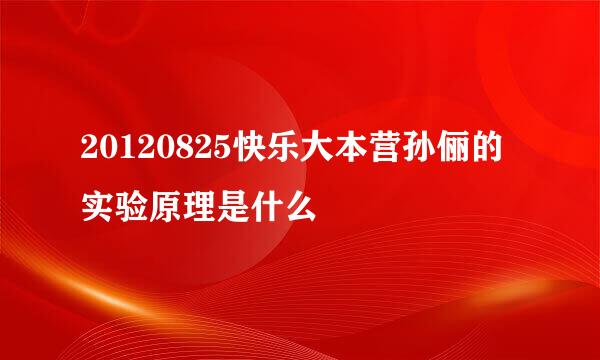 20120825快乐大本营孙俪的实验原理是什么