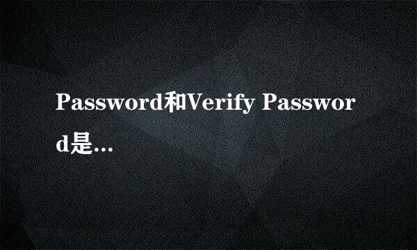 Password和Verify Password是什么意思