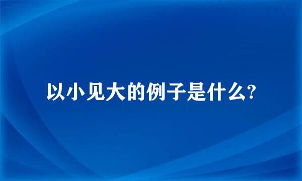 以小见大的例子是什么?