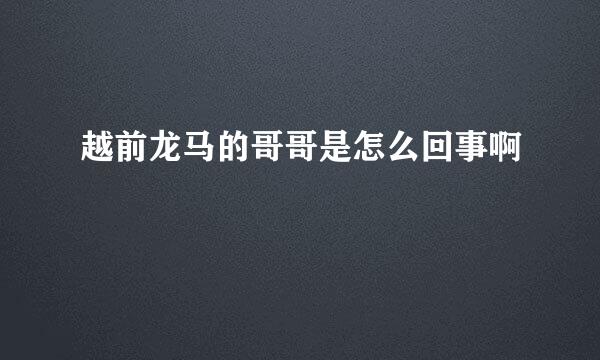 越前龙马的哥哥是怎么回事啊