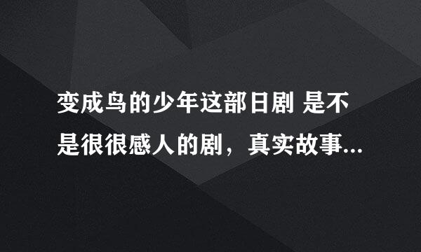 变成鸟的少年这部日剧 是不是很很感人的剧，真实故事改编~当时看时哭惨了~