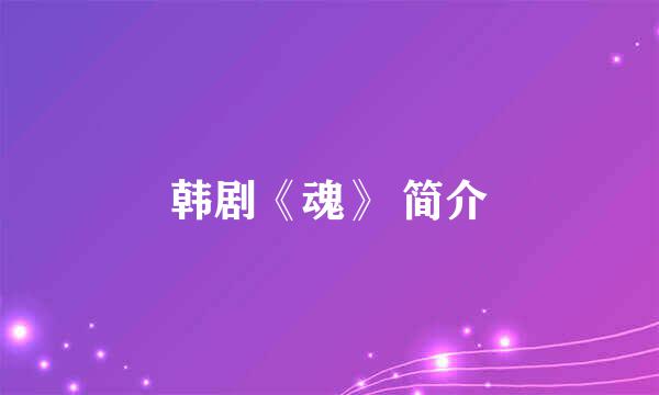 韩剧《魂》 简介