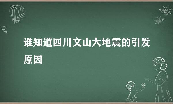 谁知道四川文山大地震的引发原因