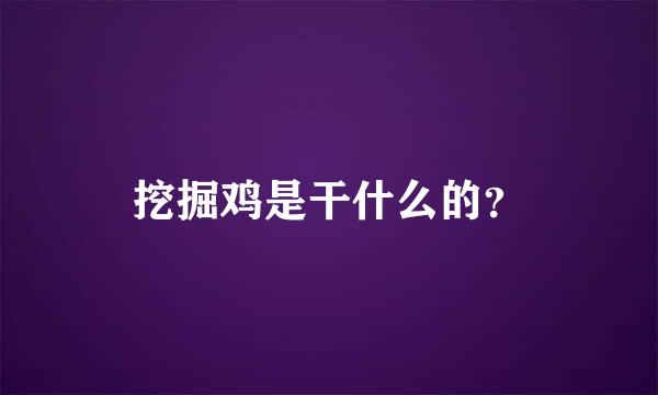 挖掘鸡是干什么的？