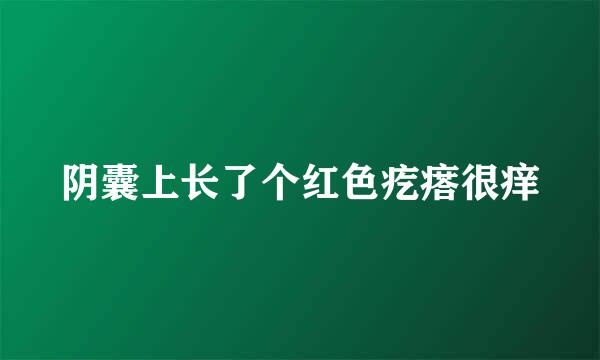 阴囊上长了个红色疙瘩很痒