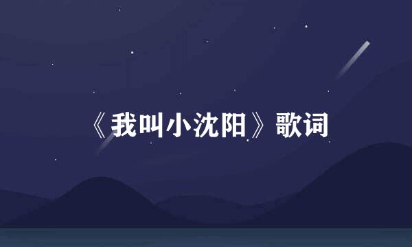 《我叫小沈阳》歌词