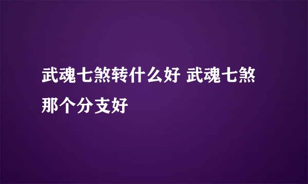 武魂七煞转什么好 武魂七煞那个分支好