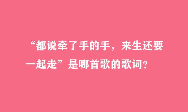 “都说牵了手的手，来生还要一起走”是哪首歌的歌词？