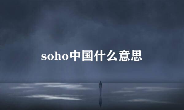 soho中国什么意思