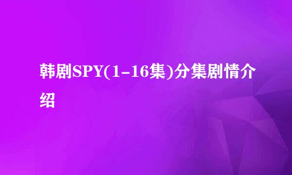 韩剧SPY(1-16集)分集剧情介绍