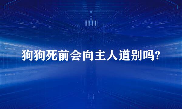 狗狗死前会向主人道别吗?