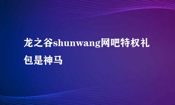 龙之谷shunwang网吧特权礼包是神马