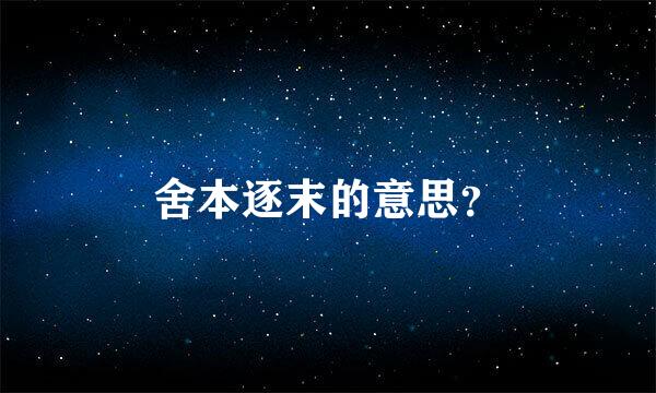 舍本逐末的意思？