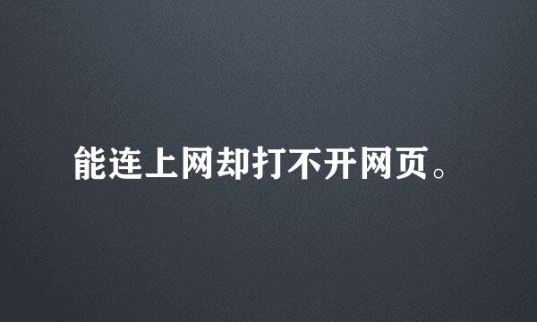 能连上网却打不开网页。