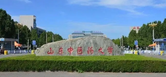 山东中医药大学有专科吗