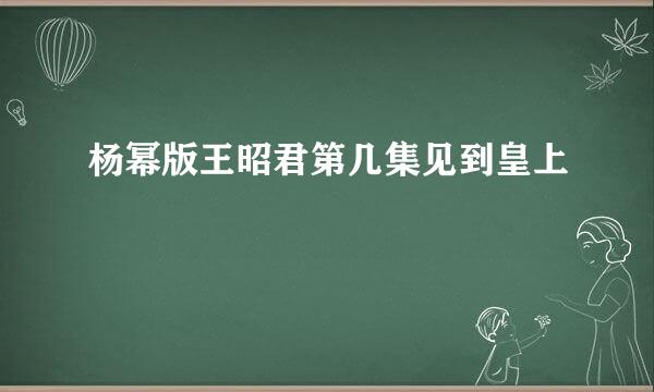 杨幂版王昭君第几集见到皇上