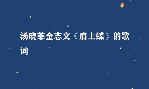 汤晓菲金志文《肩上蝶》的歌词