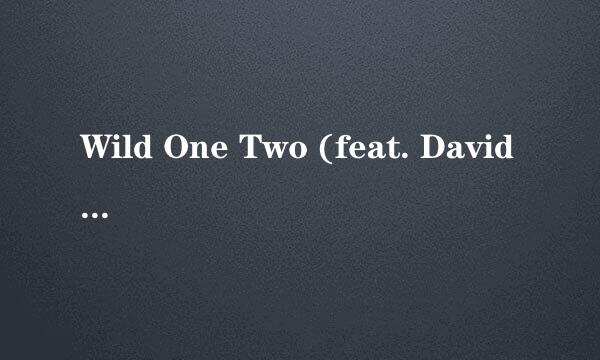 Wild One Two (feat. David Guetta, Nicky Romero, Sia) 歌词