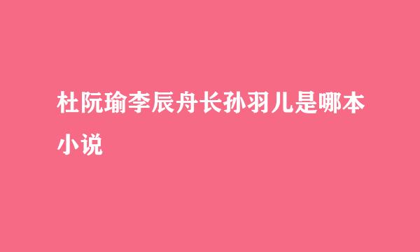 杜阮瑜李辰舟长孙羽儿是哪本小说