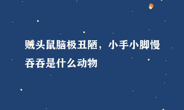 贼头鼠脑极丑陋，小手小脚慢吞吞是什么动物