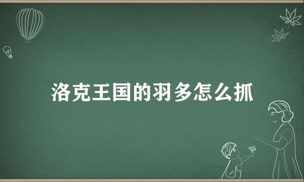 洛克王国的羽多怎么抓