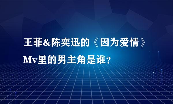 王菲&陈奕迅的《因为爱情》Mv里的男主角是谁？