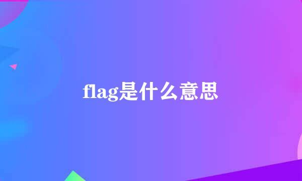 flag是什么意思