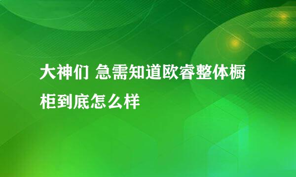 大神们 急需知道欧睿整体橱柜到底怎么样