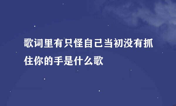 歌词里有只怪自己当初没有抓住你的手是什么歌