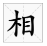 二木不成林。打一字