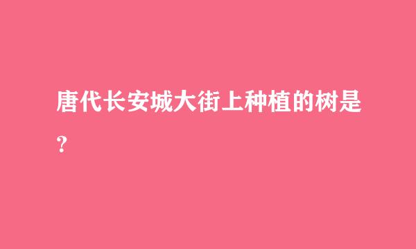 唐代长安城大街上种植的树是？