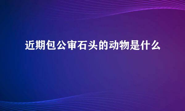 近期包公审石头的动物是什么