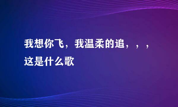 我想你飞，我温柔的追，，，这是什么歌