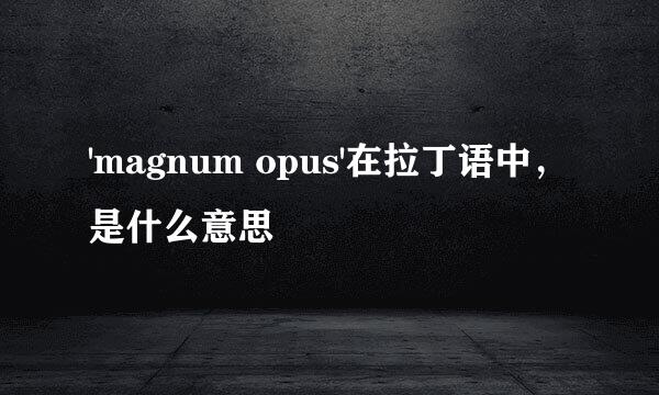 'magnum opus'在拉丁语中，是什么意思