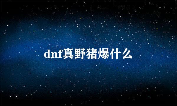 dnf真野猪爆什么