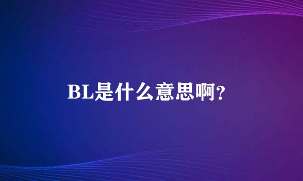 BL是什么意思啊？