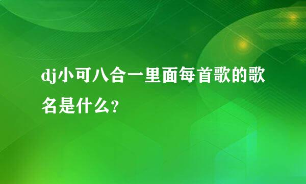 dj小可八合一里面每首歌的歌名是什么？