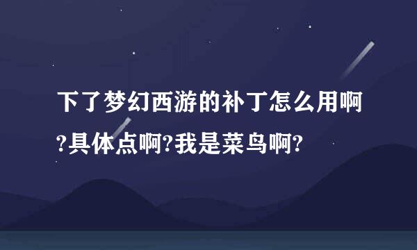 下了梦幻西游的补丁怎么用啊?具体点啊?我是菜鸟啊?