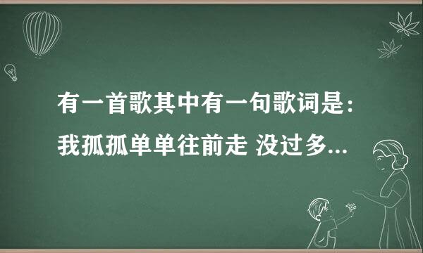 有一首歌其中有一句歌词是：我孤孤单单往前走 没过多久就低下头。 歌名是什么？