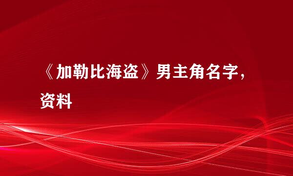 《加勒比海盗》男主角名字，资料